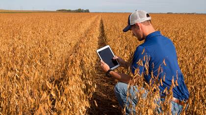 Los productores cosechan datos