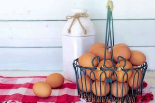 Producción de huevos. Más concentración, más informalidad