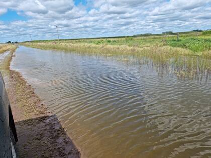 Los productores denuncian que no se hace el mantenimiento necesario