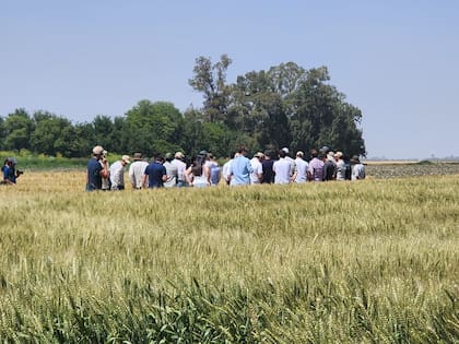 Los productores en la jornada DONMARIO MÁS