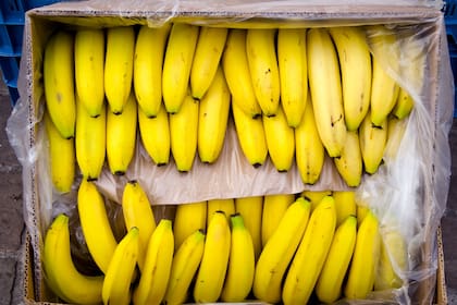 Los productores entienden que la medida es para que los feriantes más chicos puedan importar más fácilmente