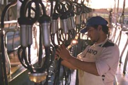 El sector lácteo tiene la oportunidad para seguir creciendo sin perder competitividad 4 Es importante recordar que la leche cruda contiene aproximadamente un 88% de agua, mientras que el resto son sólidos