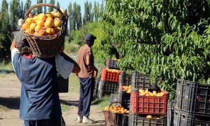Los productores se quejan de que cobran en cuotas