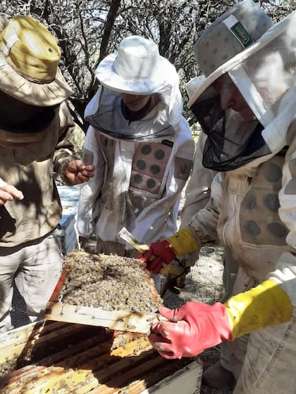 Los productores son aliados directos de los cocineros en la red