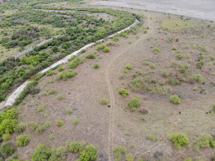 Los productores viven “entre la desesperación y la ultra desesperación”