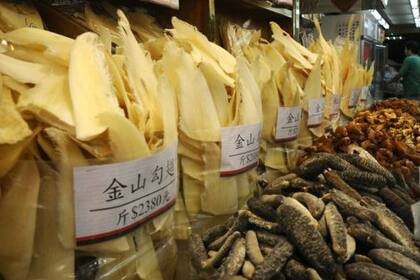 Los productos de animales salvaje para alimentarse o para fines medicinales son una gran industria en China