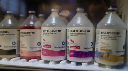 Los productos de Biogénesis Bagó, fieles aliados para la salud animal.