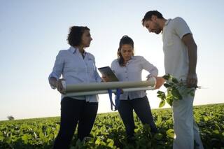 Agrónomos: entre las habilidades y la experiencia que se requiere