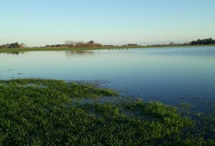 “Los pronósticos de corto plazo indican mayor circulación de aire frío y seco, ausencia de lluvias durante la primera década de septiembre y un marcado descenso de las temperaturas”, señaló el consultor Alfredo Elorriaga