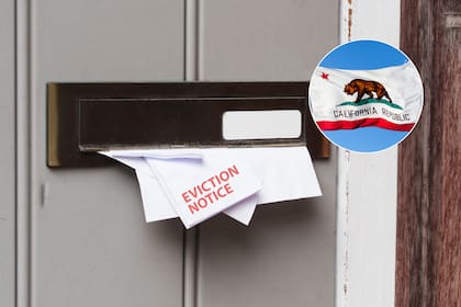 Los propietarios deben tener una causa justificada para desalojar a aquellos que han ocupado su vivienda por más de un año