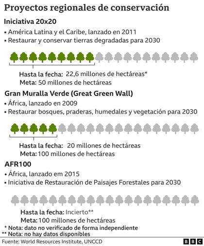 Los proyectos de conservación en el mundo