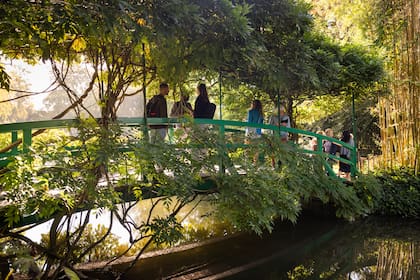 Los puentes son parte fundamental del Jardín de Agua.