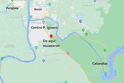 Los pumas se escaparon de un predio ubicado en la entrada a Puerto Iguazú y a unos 10 kilómetros de las Cataratas