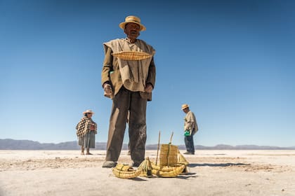 Los qotzuñi luchan por preservar su vida y su cultura; las artesanías son hoy uno de sus principales ingresos