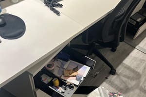 Ingresan y violentan la oficina de la bancada de Miguel Pichetto en el Congreso