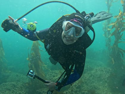 “Los que suelen hacer mucho contacto con nosotros son los mamíferos, que se acercan curiosos a observarnos, van y vienen”, describe Lemos Ferloni