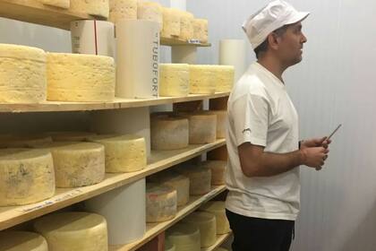  Los quesos se consiguen en todo el país. 