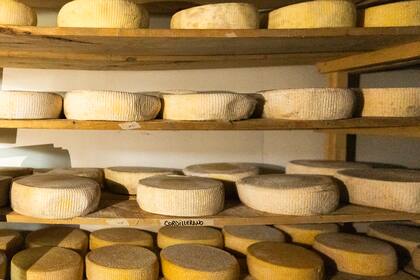 Los quesos son de pasta blanda, semidura, y pasta estacionada.