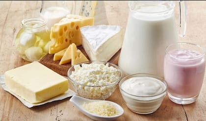 Los quesos y el yogurt datas de fermentaciones nacidas hace 6.000 años