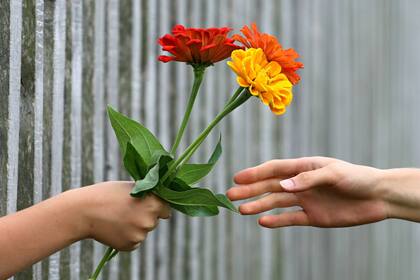 Los ramos realizados con variedades locales pueden ser una alternativa amorosa y mucho más accesible (Canva)