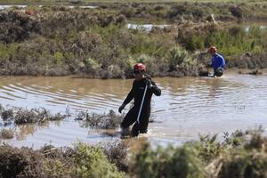 Los rastrillajes en la zona de Cerri, al oeste de Bahía Blanca