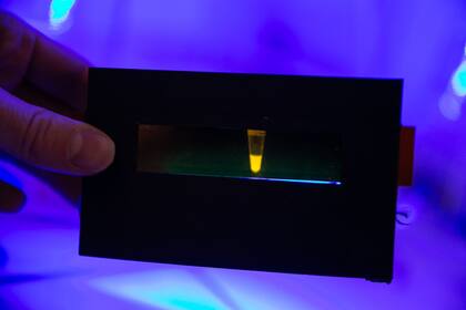 Los reactivos, claves para la investigación biomédica