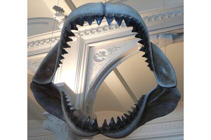 Los recién nacidos tenían una ventaja porque su gran tamaño reducía las posibilidades de ser devorados por otros depredadores