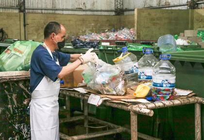 Los recolectores zonales son el primer eslabón de la cadena