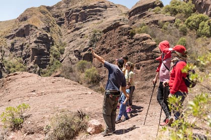 Los recorridos por la reserva se realizan, exclusivamente, en compañía de un guía autorizado.