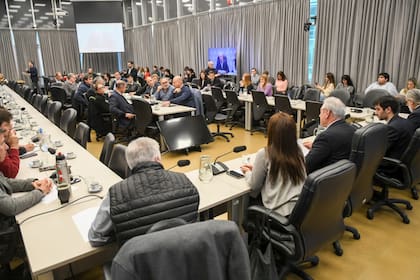 Los representantes del sector agropecuario expusieron en la Comisión de Agricultura de la Cámara de Diputados