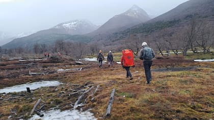 Los rescatistas avanzaron a pie por un área de turba y agua, en un tramo final del operativo marcado por el frío y la complejidad del terreno