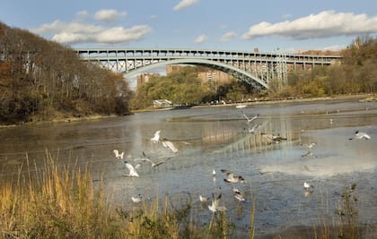 Los residentes del Bronx que atraviesen el puente Henry Hudson tendrán un reembolso