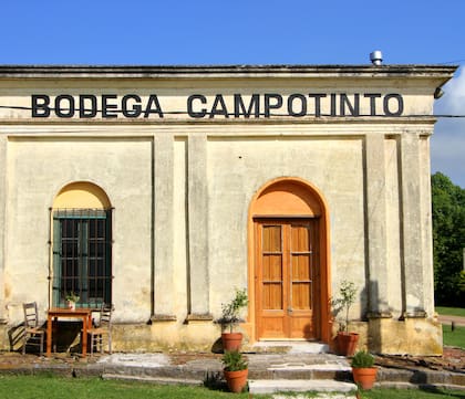Los responsables de Campotinto son los Viganó, con raíces en Fiesole, en el corazón de la Toscana. Su experiencia es una mezcla perfecta entre la calidez local y la impronta italiana.