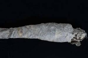 Los restos analizados corresponden a la civilización guanche y junto a ellos hallaron tibias, fémures, cúbitos y hasta un diente perforado correspondientes a otros individuos