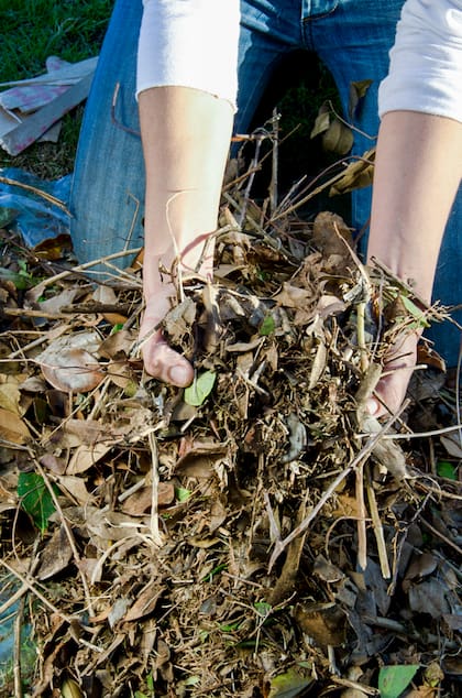 Los restos de poda y buena parte de los desperdicios de la cocina pueden volver al suelo como alimento