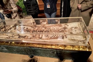 Exhiben los restos de San Francisco de Asís al público por el 800º aniversario de su muerte