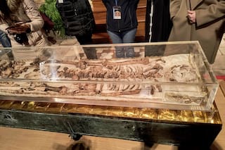 Exhiben los restos de San Francisco de Asís al público por el 800º aniversario de su muerte