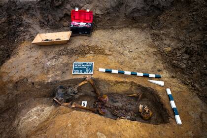 Los restos de un soldado soviético son exhumados, durante la búsqueda de combatientes caídos en la Segunda Guerra Mundial, cerca del pueblo de Klessin en Alemania. Hace 75 años el Ejército Rojo se adentró hacia la capital nazi en las últimas semanas de la Segunda Guerra