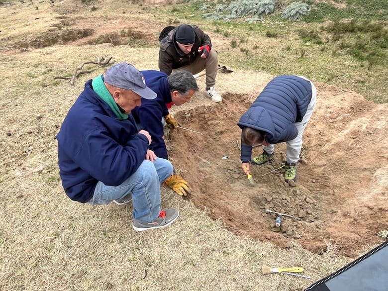 Descubren yacimiento prehistórico en San Pedro con restos de guanaco y madriguera