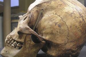 Los restos del tehuelche serán llevados a sus descendientes.