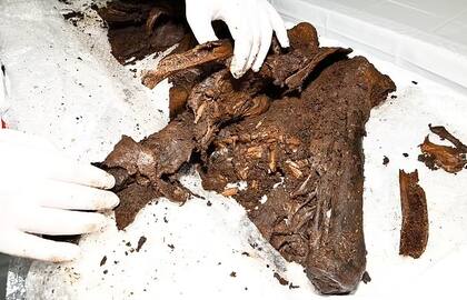 Los restos fósiles del cuerpo humano datan de hace 2000 a 2500 años a.C