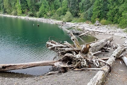 Los restos habían sido encontrados en noviembre de 2006 en la playa de Taholah