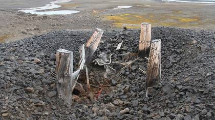 Los restos hallados en el Parque Nacional Ártico Ruso