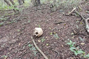 Los restos óseos encontrados en El Bordo, Salta