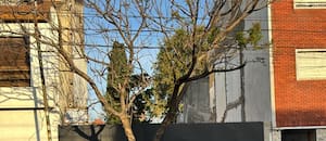 Se supo el sexo y la edad aproximada de la persona enterrada en una casa donde vivió Gustavo Cerati