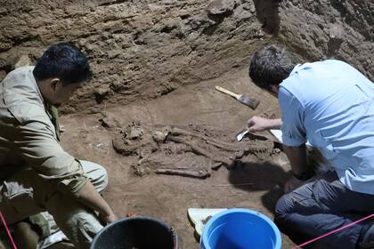 Los restos, que datan de 31.000 años, marcan la evidencia más antigua. para la amputación aún descubierto. 