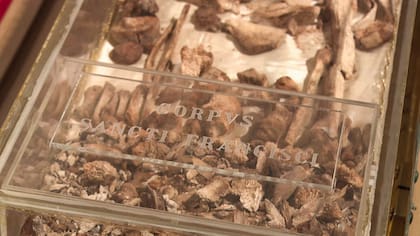 Los restos se conservan en muy buen estado.