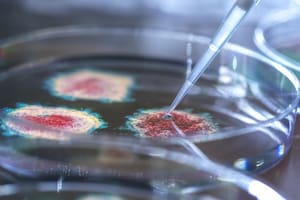 Los resultados se basan en más de 3 millones de personas analizadas.