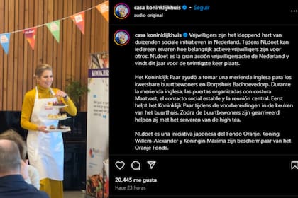 Los reyes de los Países Bajos se calzaron los delantales y cocinaron para una acción solidaria (Captura Instagram @koninklijkhuis)