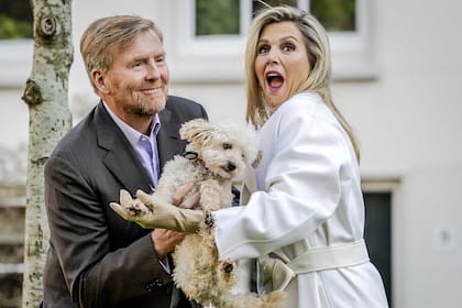 Los reyes en el posado de Navidad de 2024